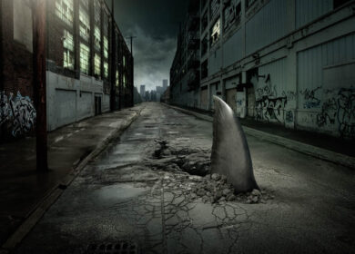Shark fin swimming in dilapidated city street Shark fin swimming in dilapidated city street