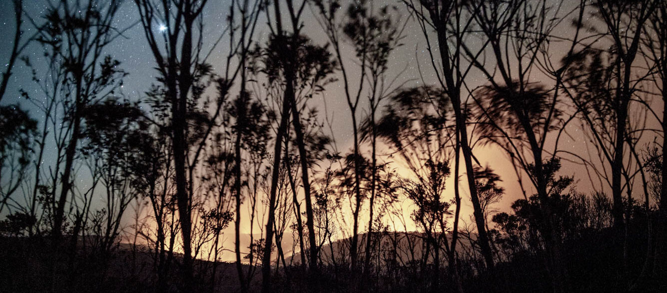 Forest fire, bushfire on the horizon with glowing night sky and stars and silhouetted trees, Blue Mountains, Australia Forest fire, bushfire on the horizon with glowing night sky and stars and silhouetted trees, Blue Mountains, Australia