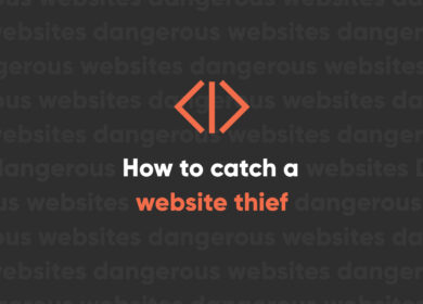 To Catch a Website Thief To Catch a Website Thief
