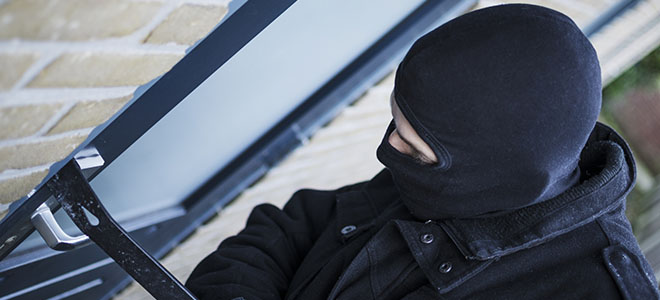 website thief