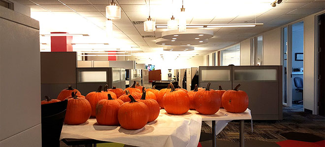 pumpkins waiting to be carved