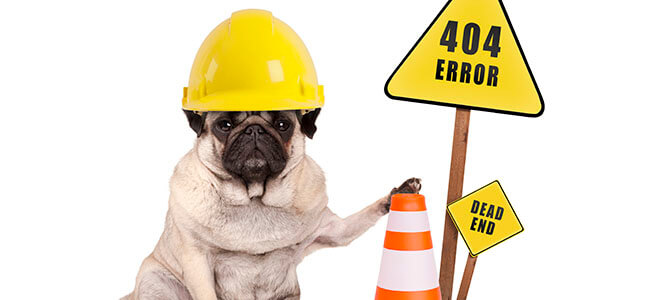 404 pug