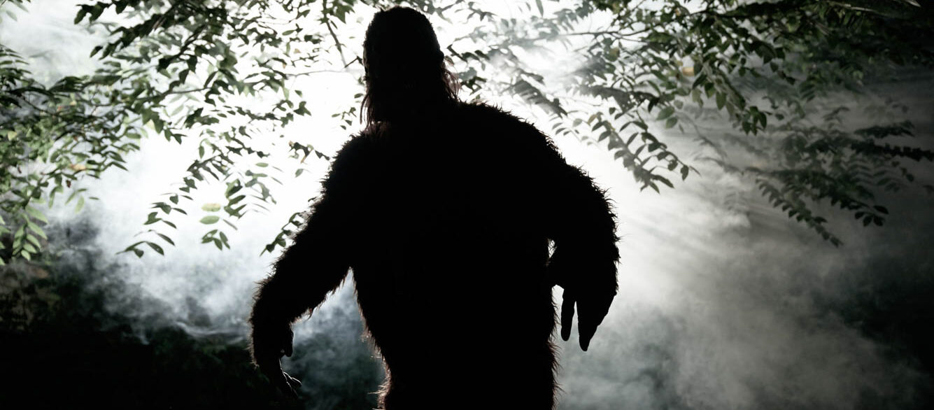 Sasquatch silhouette against leafy trees Sasquatch silhouette against leafy trees