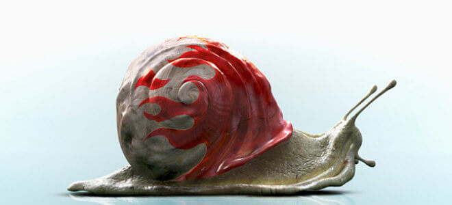 custom snail featured