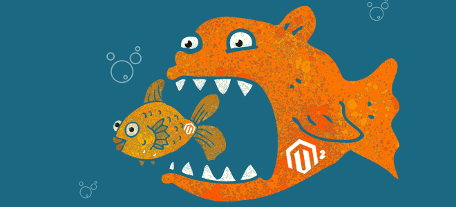 magento 2 upgrade