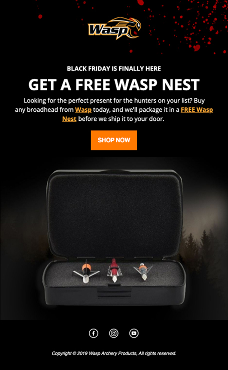 Wasp Archery - Email #1