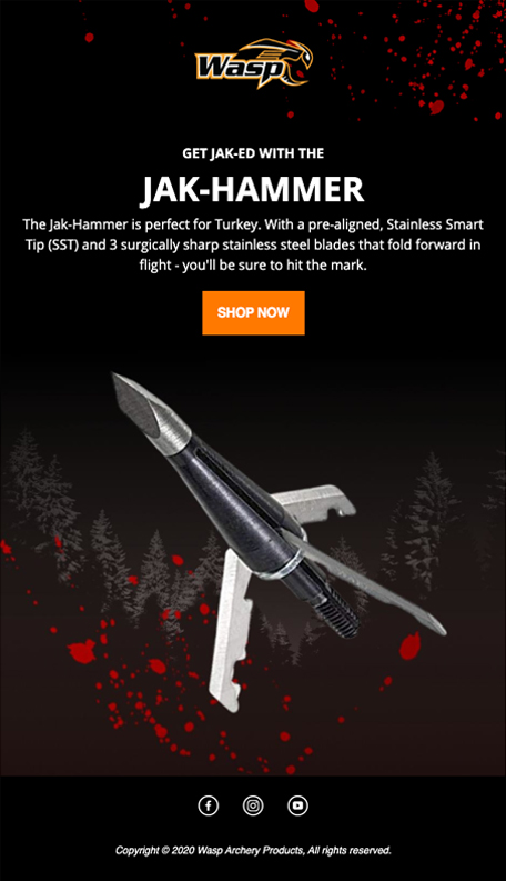 Wasp Archery - Email #2