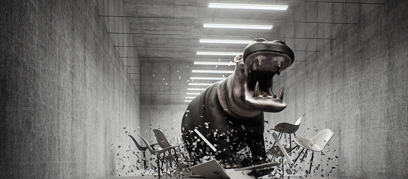 Large hippo breaking table and chairs in windowless concrete room Large hippo breaking table and chairs in windowless concrete room