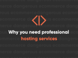 Why You Need Professional Hosting Services