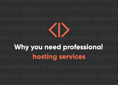Why You Need Professional Hosting Services Why You Need Professional Hosting Services