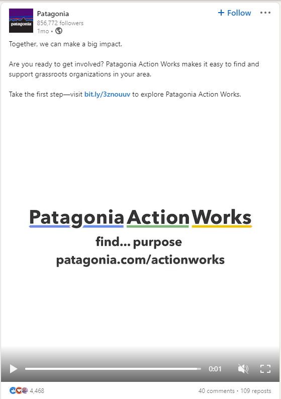 Patagonia Action Works LinkedIn post