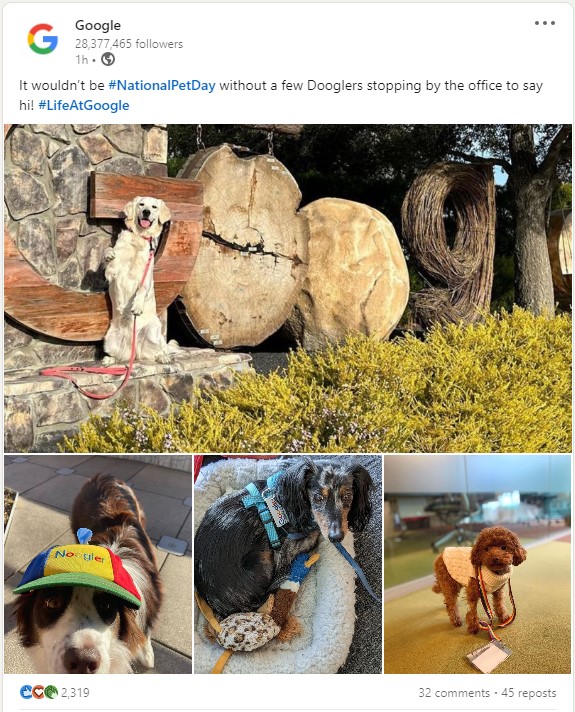National Pet Day at Google